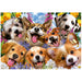 Educa Universalios dėlionės Puppies Selfie, Howard Robinson, 1000