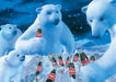 Schmidt Universalios dėlionės Coca Cola - Polar bears, 1000