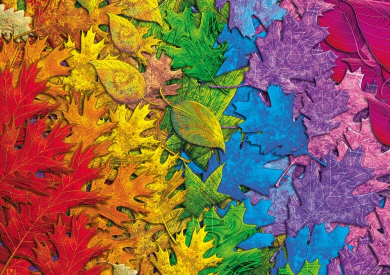 Schmidt Universalios dėlionės Colorful Leaves, 1500