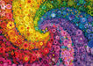 Schmidt Universalios dėlionės Swirling colours in bloom, 2000